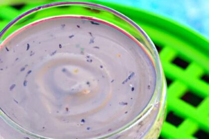 Kickstart Keto: Easy Smoothies for Beginners to Thrive